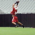 Tight end Rob Housler makes a leaping catch during Arizona Cardinals training camp July 27, 2014. (Adam Green/Arizona Sports)