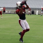 Receiver Larry Fitzgerals makes a catch in the corner of the end zone during Arizona Cardinals training camp July 29, 2014. (Adam Green/Arizona Sports)