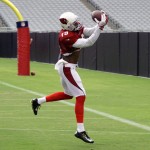 Receiver Ted Ginn, Jr. makes a catch in the corner of the end zone during Arizona Cardinals training camp July 29, 2014. (Adam Green/Arizona Sports)