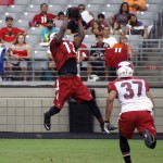 Receiver Jaron Brown makes a leaping catch during Arizona Cardinals training camp Aug. 7, 2014. (Photo: Adam Green/Arizona Sports)