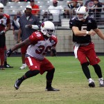 Quarterback Drew Stanton and running back Robert Hughes can only watch as a bad snap sails over their heads during Cardinals training camp at University of Phoenix Stadium Aug. 14, 2014. (Photo: Adam Green/Arizona Sports)