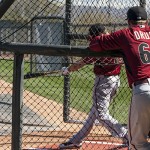 Brandon Drury and Jake Lamb are both fighting for a spot in the infield. Photo by Stephen DeLorenzo