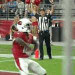 The Cardinals could fund 700,000 hours (almost 80 years) of private dance lessons at $30.00 apiece for Cardinals receiver John Brown...but why would we want to change his, um, unique style anyway?