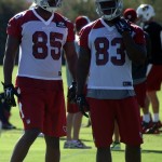 Tight ends Darren Fells (85) and Gerald Christian (83) watch during Arizona Cardinals OTAs Tuesday, May 26. (Photo by Adam Green/Arizona Sports)