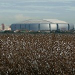 One of the last remaining cotton fields fills the foreground as University of Phoenix Stadium rises up in the background Friday, Jan. 25, 2008, in Glendale, Ariz. The stadium will host the Super Bowl game between the New England Patriots and the New York Giants on Sunday, Feb. 3, 2008. (AP Photo/Ross D. Franklin)