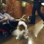 Chance Pippin, 11, of Vacaville, Calif., sits against the check-in counter in the lobby of the Hotel Pennsylvania with his grandmother's dog Flying Colors Catera, a 4-year-old Cavalier King Charles spaniel, as they arrive at the hotel Friday Feb. 8, 2008, for next week's Westminster Kennel Club Dog Show. Flying Colors Catera will be competing in the show. (AP Photo/Tina Fineberg)
