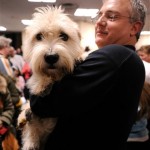 Riley a Glen of Imaal Terrier is carried by her owner after winning the Best in Breed category at the Westminster Dog Show at Madison Square Garden, Monday, Feb. 11, 2008, in New York. (AP Photo/Peter Kramer)
