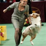 An Australian shepherd named Deuce and Jessica Plourde celebrate winning Best in Group during the herding group competition at the 132nd Westminster Kennel Club Dog Show at Madison Square Garden in New York, Monday, Feb. 11, 2008. (AP Photo/Seth Wenig)