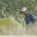 Aaron Baddeley, of Australia, peers out from the brush as he prepares to chip onto the fifth green during the third round of the Accenture Match Play Golf Championship tournament at The Gallery Golf Club at Dove Mountain, in Marana, Ariz., Friday.