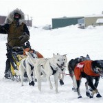 Norwegian musher Sigrid Ekran drives her dog team into the Bering Sea village of Unalakleet, Alaska during the Iditarod Trail Sled Dog Race, Monday, March 10, 2008. (AP Photo/Al Grillo)
