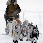 Norwegian musher Sigrid Ekran drives her dog team through the snow as she approaches the Bering Sea village of Unalakleet, Alaska during the Iditarod Trail Sled Dog Race, Monday, March 10, 2008. (AP Photo/Al Grillo)
