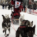 Paul Gebhardt, of Kasilof, Alaska, waves to his family as he runs his team up the finish chute of the Iditarod Trail Sled Dog Race in Nome, Alaska Wednesday, March 12, 2008, to finish 8th. (AP Photo/Al Grillo)