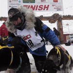 Canadian musher Hans Gatt feeds his dogs after he crossed the finish line of the Iditarod Trail Sled Dog Race in Nome, Alaska Wednesday, March 12, 2008, to finish 6th. (AP Photo/Al Grillo)
