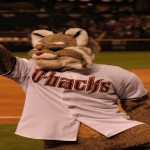 Diamondbacks mascot Baxter tries to pump up the crowd before the start of the Arizona Diamondbacks home opener against the Los Angeles Dodgers on Monday at Chase Field. Samantha Hjelle For Sports 620 KTAR