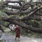 A Myanmar Buddhist Monk makes his way past a fallen tree following a devastating cyclone, Sunday, May 4, 2008, in Yangon. The death toll from the cyclone has risen to almost 4,000, a Myanmar state radio station has said. The radio station broadcasting from the country's capital Naypyitaw said Monday that almost 3,000 more people are unaccounted for in a single town in the country's low-lying Irrawaddy River delta area. (AP Photo/Barry Broman)

