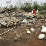 A Myanmar boy carries water bottles used for chickens as he walks past a chicken coup destroyed by Cyclone Nargis on the outskirts of Yangon, Myanmar, Tuesday May 13, 2008. (AP Photo)
