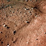 This photo provided by NASA/JPL-Caltech/University of Arizona shows a polygonal pattern in the ground near NASA's Phoenix Mars Lander, similar in appearance to icy ground in the arctic regions of Earth. This is an approximate-color image taken shortly after landing Tuesday May 25, 2008 by the spacecraft's Surface Stereo Imager, inferred from two color filters. (AP Photo/NASA/JPL-Caltech/University of Arizona)
