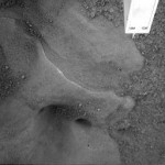 This image provided by NASA and taken by Robotic Arm Camera aboard NASA's Phoenix Mars Lander shows what is believed to be exposed ice under the lander on Saturday May 31, 2008. (AP Photo/NASA)
