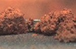 This image provided by NASA shows a microscopic view of fine-grained material at the tip of the Robotic Arm scoop as seen by the Robotic Arm Camera (RAC) aboard NASA's Phoenix Mars Lander on June 20, 2008, the 26th Martian day, or sol, of the mission. The Phoenix lander's first taste test of soil near Mars' north pole reveals a briny environment similar to what can be found in backyards on Earth, scientists said Thursday June 26, 2008. "It's very typical of the soil here on Earth minus the organics," Kounaves said during a teleconference from Tucson, Ariz. (AP Photo/NASA)

