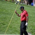 
              Tiger Woods places the flag stick back in the hole after making a bogie on the 17th hole during the final round of the Memorial golf tournament Sunday, June 7, 2015, in Dublin, Ohio. (AP Photo/Darron Cummings)
            