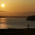 
              In this April 29, 2015, photo, the signature lone fir tree at Chambers Bay golf course stands at sunset in University Place, Wash. Chambers Bay will host the 115th U.S. Open golf tournament next week, but the course is a mystery to the majority of the players because it opened only eight years ago. (AP Photo/Ted S. Warren)
            