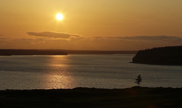 In this April 29, 2015, photo, the signature lone fir tree at Chambers Bay golf course stands at su...