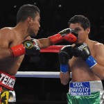 
              Roman Gonzalez, left, of Nicaragua, connects with Edgar Sosa, of Mexico, during a WBC flyweight world championship bout, Saturday, May 16, 2015, in Inglewood, Calif. (AP Photo/Mark J. Terrill)
            