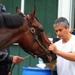 
              Groom Eduardo Garcia washes the face of American Pharoah following the colt's morning gallop at Belmont Park race track in Elmont, NY, Friday, June 5, 2015. American Pharoah will try to become horse racing's 12th Triple Crown winner and first since Affirmed in 1978 when he runs in the Belmont Stakes on Saturday.  (AP Photo/Garry Jones)
            