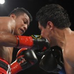 
              Roman Gonzalez, left, of Nicaragua, connects with Edgar Sosa, of Mexico, during a WBC flyweight world championship boxing bout, Saturday, May 16, 2015, in Inglewood, Calif. (AP Photo/Mark J. Terrill)
            