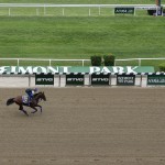 
              Kentucky Derby and Preakness Stakes winner American Pharoah, with exercise rider Jorge Alvarez up, gallops around the track at Belmont Park, Friday, June 5, 2015, in Elmont, N.Y. American Pharoah will try for a Triple Crown when he runs in Saturday's 147th running of the Belmont Stakes horse race. (AP Photo/Julie Jacobson)
            