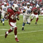 Arizona Cardinals' Rashad Johnson (49) returns an interception for a touchdown against the Detroit Lions during the first half in an NFL football game on Sunday Dec. 16, 2012, in Glendale, Ariz.(AP Photo/Ross D. Franklin)
