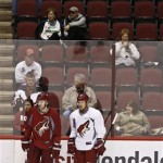As fans watch practice, Phoenix Coyotes' Martin Hanzal (11), of the Czech Republic, and David Moss (18) watch the action on the ice waiting for their turn during a Coyotes NHL hockey practice Tuesday, Jan. 15, 2013, in Glendale, Ariz. The NHL will start its 119 day lockout-shortened season Jan. 19th.(AP Photo/Ross D. Franklin)