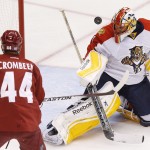 Arizona Coyotes' B.J. Crombeen (44) appears to get the puck past Florida Panthers' Roberto Luongo, right, for a goal but the score was waived off during the second period of an NHL hockey game Saturday, Oct. 25, 2014, in Glendale, Ariz. (AP Photo/Ross D. Franklin)