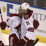 Arizona Coyotes' Oliver Ekman-Larsson (23) celebrates with teammate Martin Hanzal (11) after Hanzal scored a goal during the first period of an NHL hockey game against the Florida Panthers, in Sunrise, Fla., Thursday, Oct. 30, 2014. (AP Photo/J Pat Carter)
