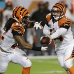 Cincinnati Bengals quarterback Andy Dalton (14) hands the ball to running back BenJarvus Green-Ellis during the first half of an NFL football game against the Miami Dolphins, Thursday, Oct. 31, 2013, in Miami Gardens, Fla. (AP Photo/Wilfredo Lee)