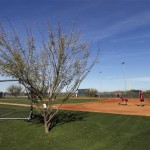 The Arizona Diamondbacks workout on a short field during spring training baseball practice, Monday, Feb. 10, 2014, in Scottsdale, Ariz. (AP Photo/Matt York)