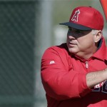 Los Angeles Angels manager Mike Scioscia hits a ball during a spring training baseball workout Tuesday, Feb. 12, 2013, in Tempe, Ariz. (AP Photo/Morry Gash)