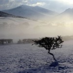Snow covers the fields around the Mourne mountains near the village of Hilltown, Northern Ireland, Monday, Nov. 29, 2010. Heavy snow falls brought many parts of the province to a stand still, on Sunday temperatures plummeted to the coldest on record for the month of November in Northern Ireland.(AP Photo/Peter Morrison)