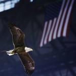 A bald eagle soars through Lucas Oil Stadium during the National Anthem before an NFL wild-card playoff football game between the Indianapolis Colts and the Kansas City Chiefs Saturday, Jan. 4, 2014, in Indianapolis. (AP Photo/Michael Conroy)