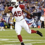 Arizona Cardinals running back Javarris James (45) celebrates after scoring a touchdown on an 11-yard run against the Tennessee Titans in the fourth quarter of an NFL football preseason game, Thursday, Aug. 23, 2012, in Nashville, Tenn. The Titans won 32-27. (AP Photo/Wade Payne)