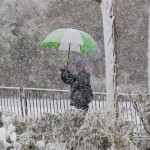 A golf fan takes a photo of the 18th green as snow falls during the Match Play Championship golf tournament, Wednesday, Feb. 20, 2013, in Marana, Ariz. Play was suspended for the day. (AP Photo/Julie Jacobson)