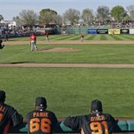 San Francisco Giants watch as Tyler LaTorre runs to first base during the eighth inning of an exhibition spring training baseball game Saturday, Feb. 23, 2013, in Scottsdale, Ariz. Los Angeles Angels' Tommy Field threw out LaTorre at first. (AP Photo/Darron Cummings)

