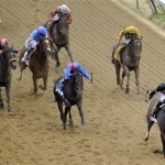 Oxbow, bottom right, with jockey Gary Stevens aboard, leads the field to the finish line to win the 138th Preakness Stakes horse race at Pimlico Race Course, Saturday, May 18, 2013, in Baltimore (AP Photo/Nick Wass)
