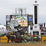 Oxbow, ridden by jockey Gary Stevens, wins the 138th Preakness Stakes horse race at Pimlico Race Course, Saturday, May 18, 2013, in Baltimore. (AP Photo/Mike Stewart)
