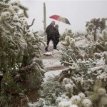 Golf fans make their way off the course as snow falls during the Match Play Championship golf tournament, Wednesday, Feb. 20, 2013, in Marana, Ariz. Play was suspended for the day. (AP Photo/Julie Jacobson)