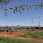 The Arizona Diamondbacks run drills during spring training baseball practice, Tuesday, Feb. 11, 2014, in Scottsdale, Ariz. (AP Photo/Matt York)